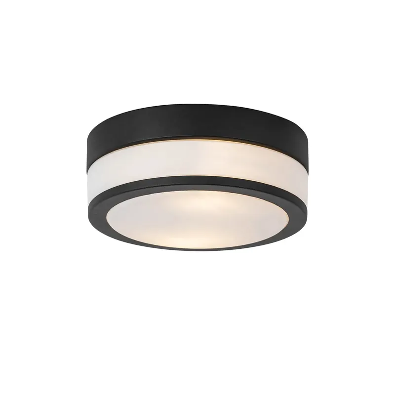 Kihagyhatatlan ajánlat Modern kültéri mennyezeti lámpa fekete 23 cm IP44 - Flavi