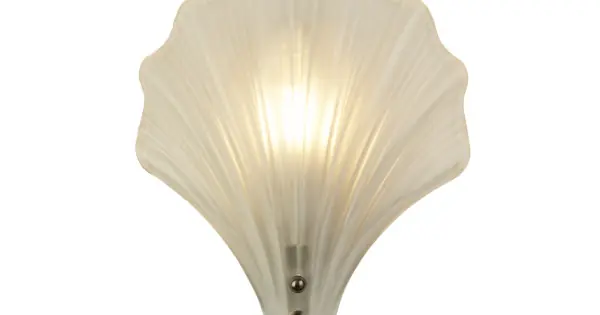 Searchlight Shell ezüst fürdőszobai fali lámpa (SL-28980SS) G9 1 izzós IP44 Bestseller