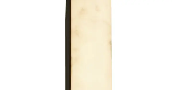 Biztonságos fizetés Searchlight Nile fekete fürdőszobai LED fali lámpa (SL-10887BK) LED 1 izzós IP44