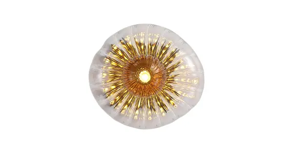 Végkiárusítás Searchlight Sunbeam fekete-borostyán fali lámpa (SL-24122-1BK) G9 1 izzós IP20