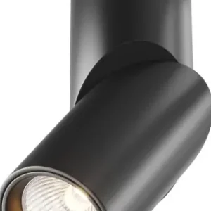 Maytoni Dafne fekete LED mennyezeti lámpa (MAY-C027CL-L10B) LED 1 izzós IP20 Kihagyhatatlan ajánlat