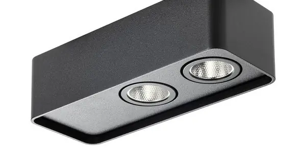 Redo Yuki fekete LED mennyezeti lámpa (RED-01-4233) LED 1 izzós IP20 Akció
