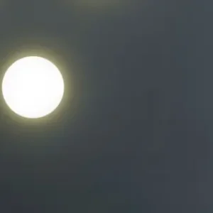 Utolsó esély TK Lighting Luna fehér fali lámpa (TK-6010) G9 3 izzós IP20