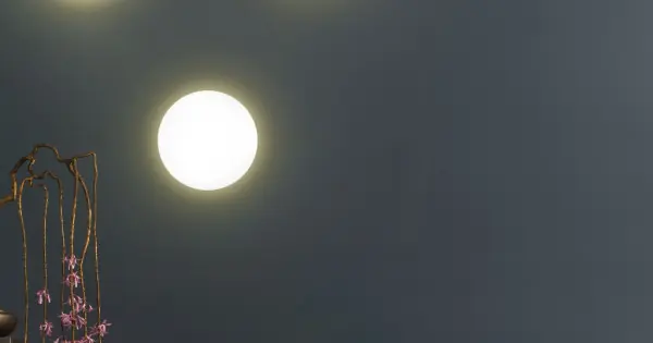 Utolsó esély TK Lighting Luna fehér fali lámpa (TK-6010) G9 3 izzós IP20