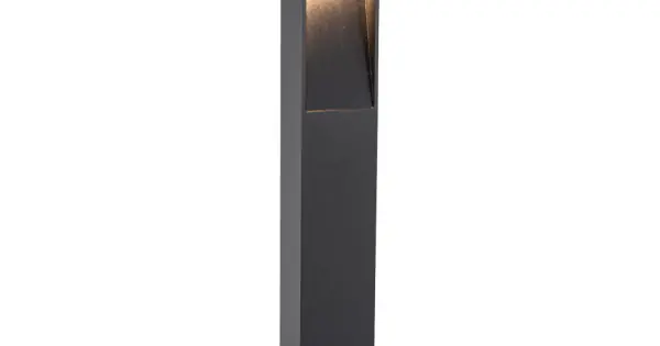 Viokef Karl sötétszürke LED kültéri állólámpa (VIO-4320900) LED 1 izzós IP65 Rendeld meg most