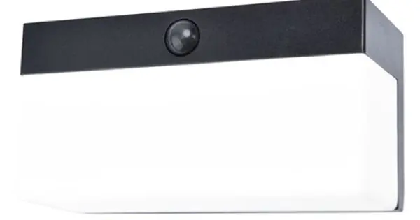 Lutec Fran matt fekete napelemes LED kültéri fali lámpa (LUT-6941502330) LED 1 izzós IP44 Vedd meg online