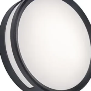 Szuper ajánlat Lutec Rola sötétszürke LED kültéri fali/mennyezeti lámpa (LUT-6382201118) LED 1 izzós IP54