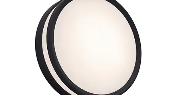 Azonnali szállítás Lutec Rola matt fekete LED kültéri fali/mennyezeti lámpa (LUT-6382201012) LED 1 izzós IP54