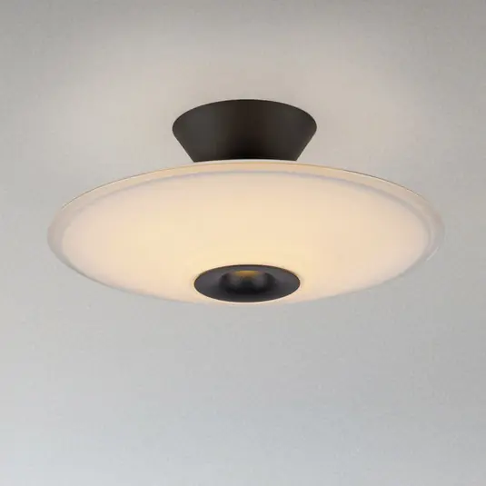 Expressz kézbesítés Paul Neuhaus LED mennyezeti lámpa Elipsa, fehér/fekete, Ø 35 cm
