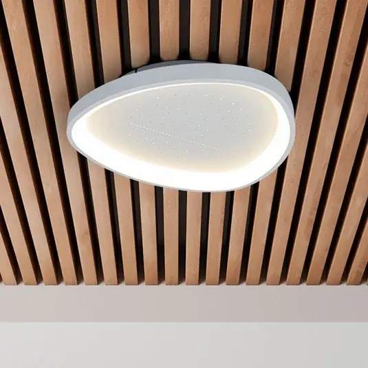 Argesa LED mennyezeti világítás, Ø 42 cm, fehér, CCT, távirányító Utolsó esély