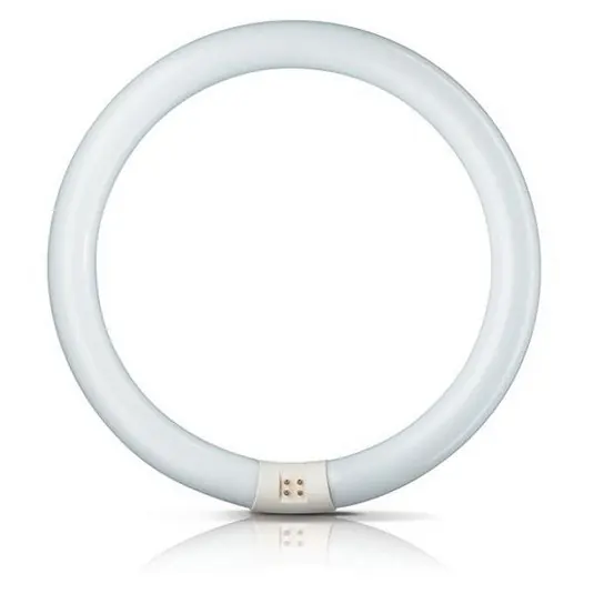 Azonnal elérhető G10q 22W 840 fluoreszk. gyűrű Master Circular TL-E