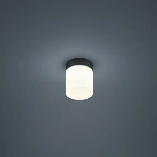 Helestra Keto LED menny. lámpa, hengeres, fekete Rendeld meg most
