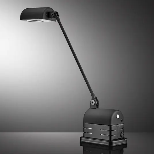 Expressz szállítás Lumina Daphinette Portatile 2,700K fekete matt