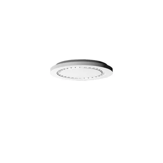 RZB Hemis Round LED mennyezeti világítás Ø 25 cm 3000 K Expressz kézbesítés