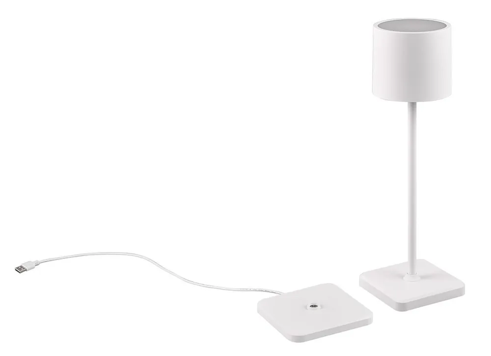 Trio Reality TR54096131 LED kültéri asztali lámpa FERNANDEZ 1,5W integrált LED forrás 130lm 4000K Árcsökkenés