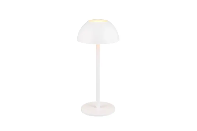 Kiárusítás Trio Reality TR54106131 LED kültéri asztali lámpa RICARDO 1,7W integrált LED forrás 240lm 3000K