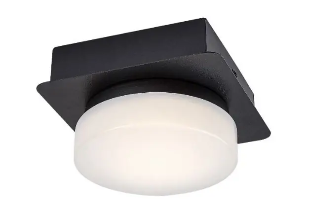 Szezonális akció Rabalux 98075001 LED mennyezetre szerelhető lámpa Attichus 5W integrált LED forrás 670lm 4000K