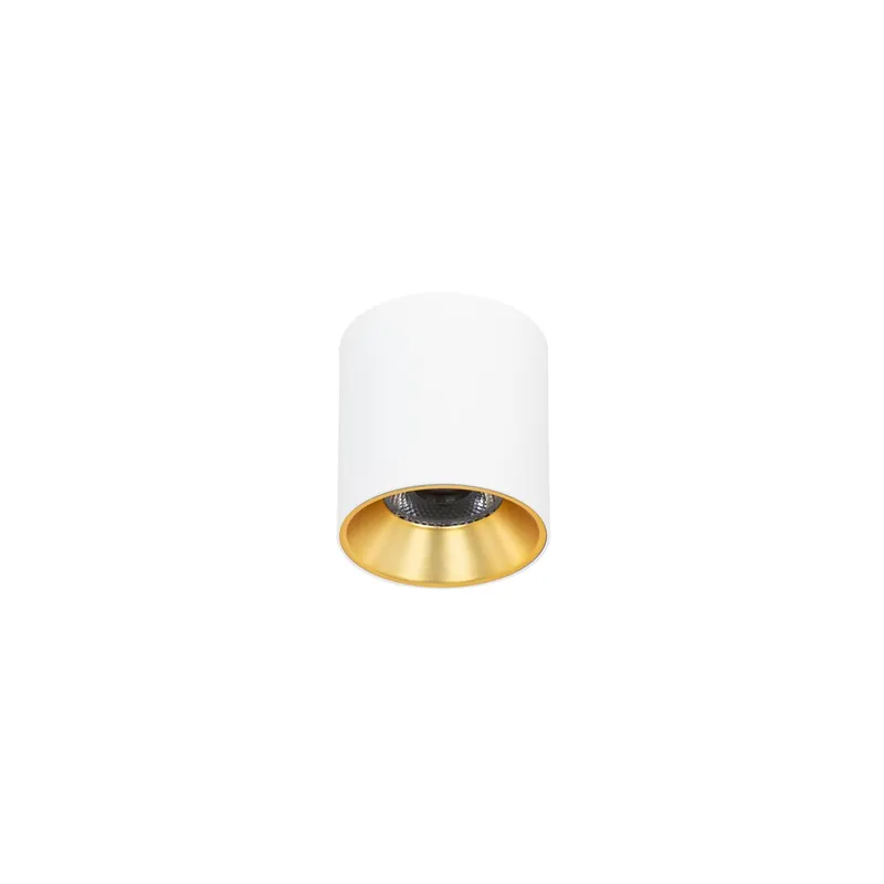 Biztonságos fizetés Italux CLN-6677-75-WH-GD-3K LED Altisma 10W integrált LED forrás 1100lm 3000K