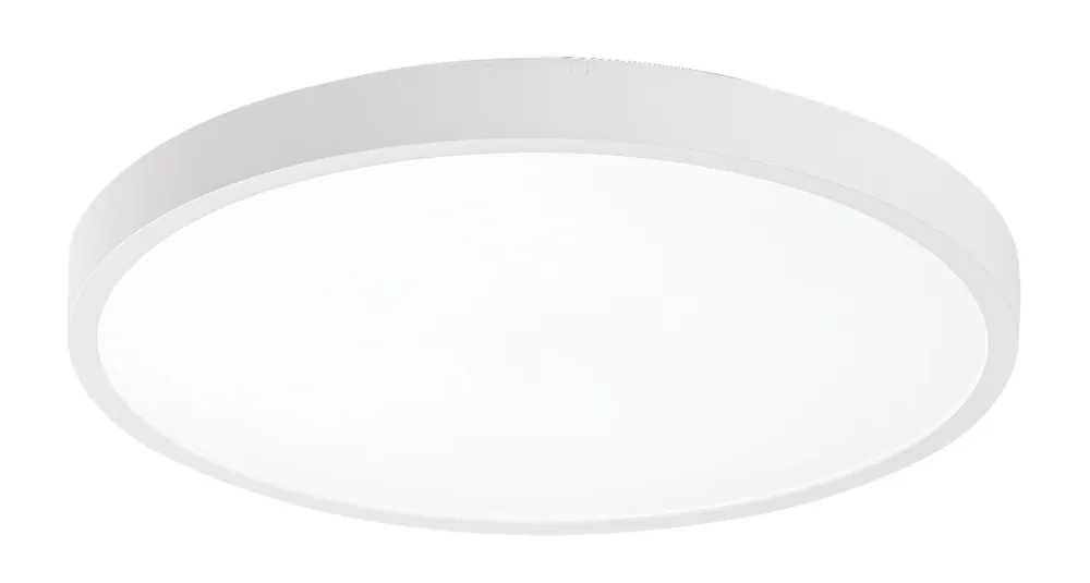 Rabalux 98071428 LED kültéri mennyezeti lámpa Alenzo 24W integrált LED forrás 1530lm 3000-6000K Korlátozott ajánlat
