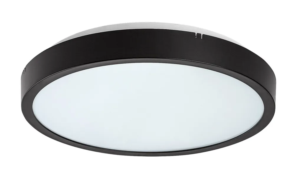 Biztonságos vásárlás Rabalux 98071435 LED kültéri mennyezeti lámpa Alenzo 12W integrált LED forrás 780lm 3000+4000+6500K